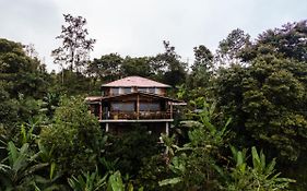 Casa De Vista Alta